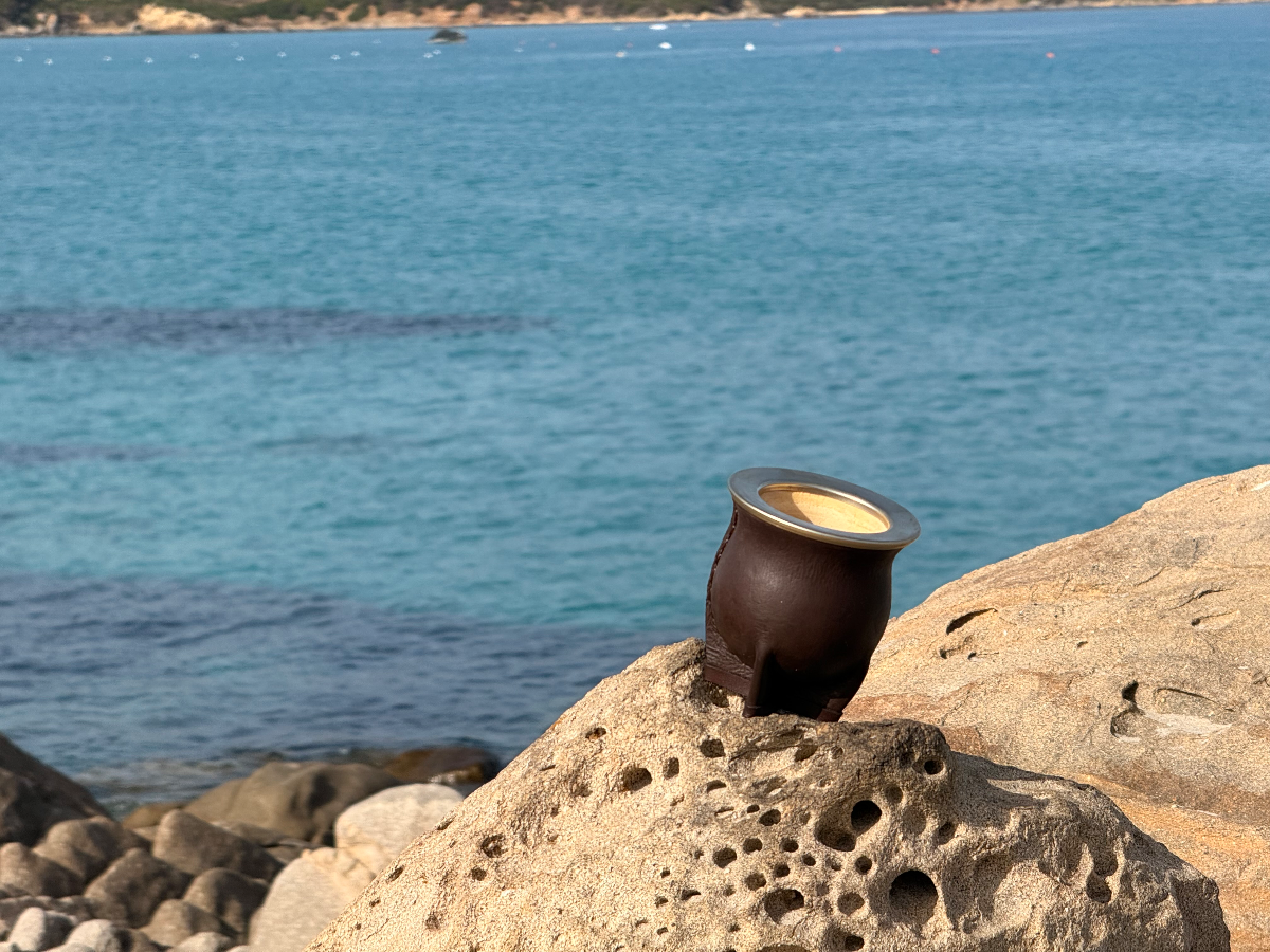 Mate Camionero de Calabaza